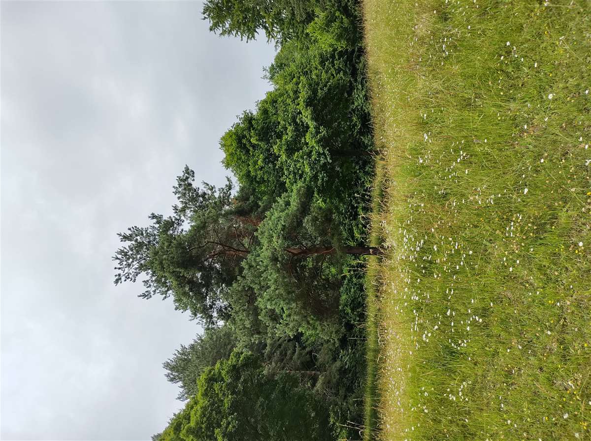 Img 20240622 104846675 Hdr