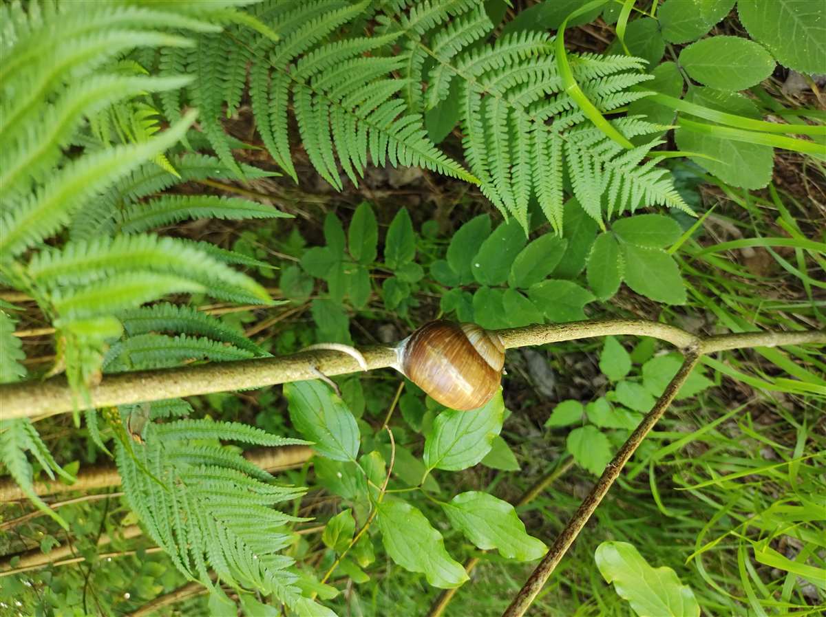 Img 20240706 122004849