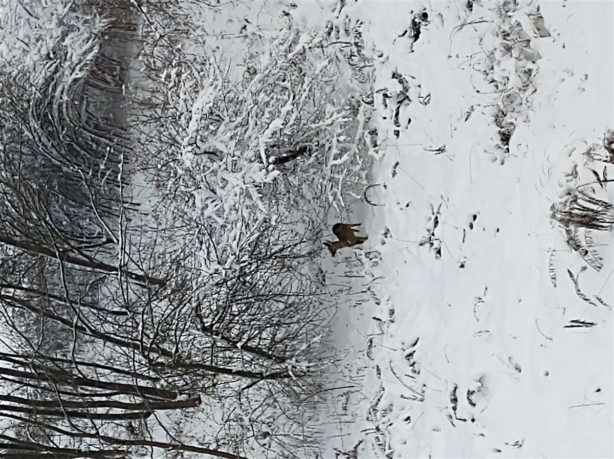 Img 20221211 120250353