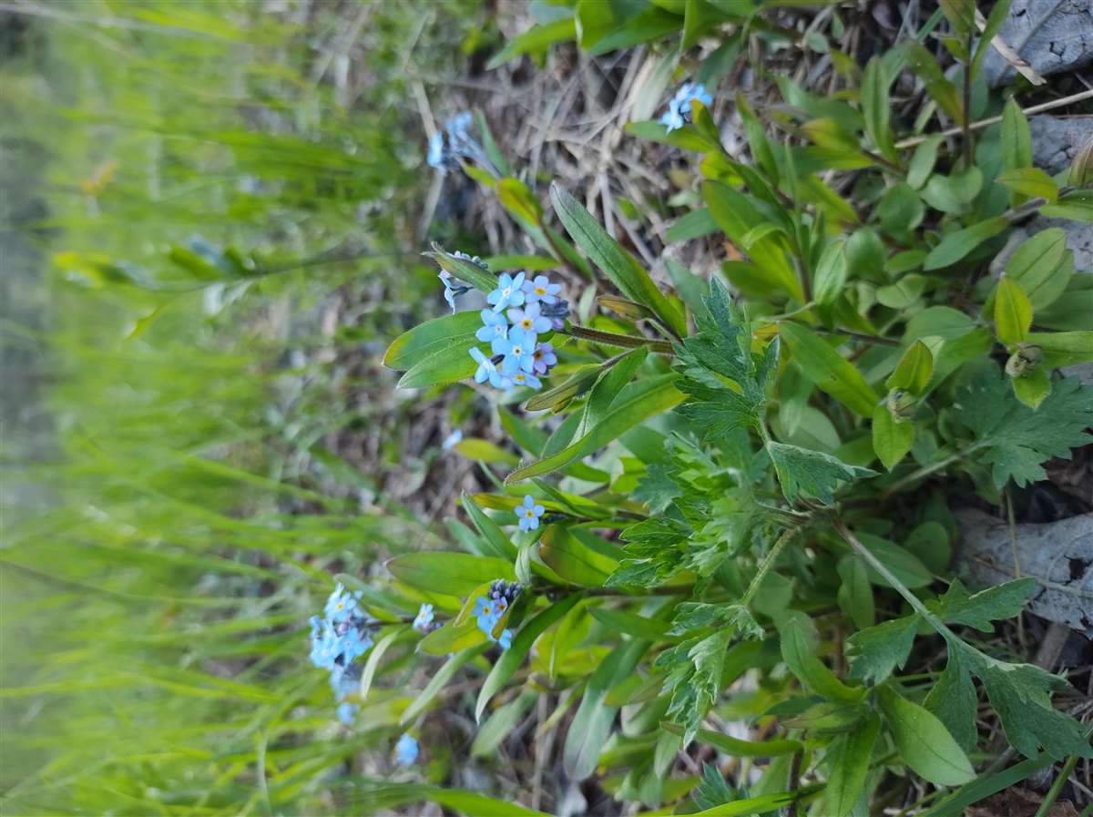 Img 20210506 191132947