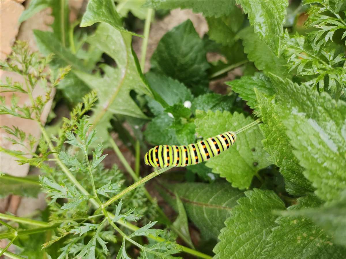 Img 20240909 162240836