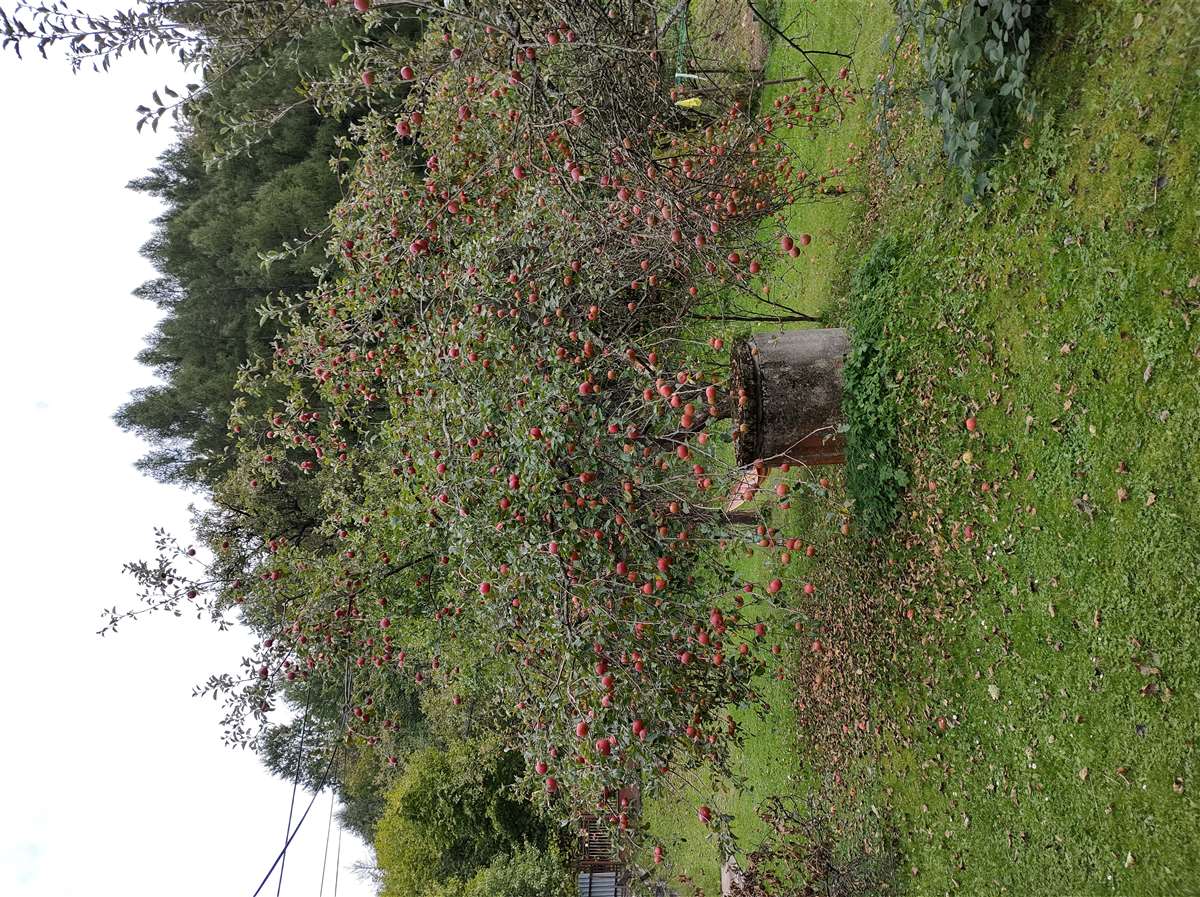 Img 20210923 160510637 Hdr