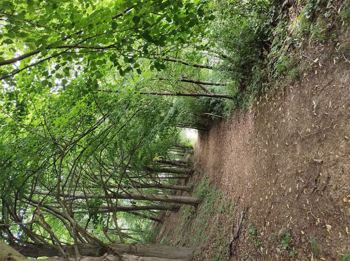 Img 20240622 104451971