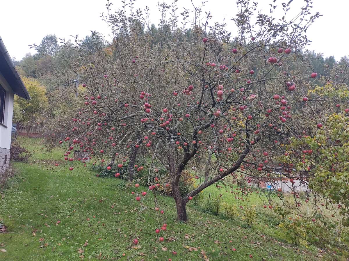 Img 20211013 160820683