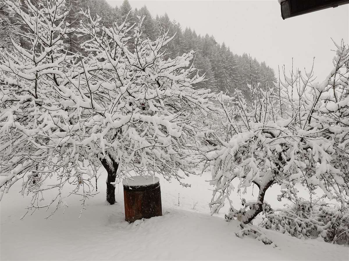 Img 20210125 085042076