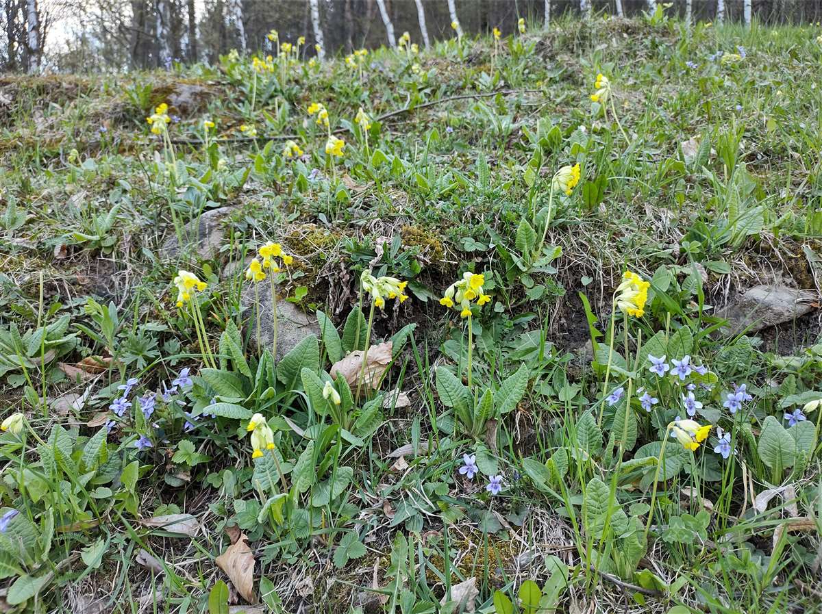 Img 20230423 151319170 Hdr