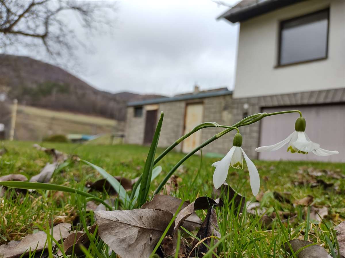 Img 20210402 121300306 Hdr