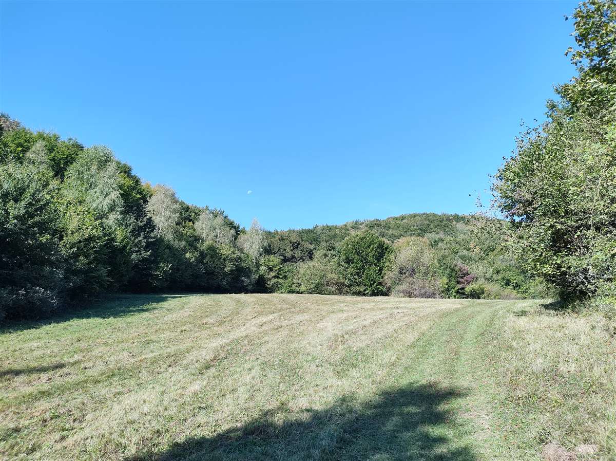 Img 20240923 102807528 Hdr